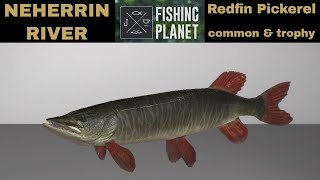 Fishing Planet Neherrin River Redfin Pickerel Common amp Trophy [upl. by Amled]