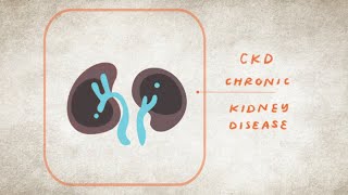 What is Kidney Disease  The Kidney Disease Heart Disease and Diabetes Connection  NKF [upl. by Lebana]