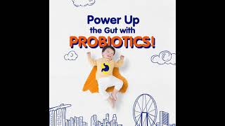 Bifidobacterium lactis  Helps maintain a Healthy Digestive System  40s [upl. by Reyna]