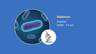 Bakterien – Aufbau einfach erklärt  sofatutor [upl. by Rotce]