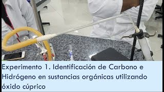 Experimento 1  Identificación de CarbonoHidrógeno en sustancias orgánicas [upl. by Nerty]