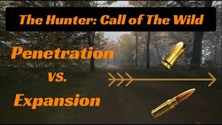 The Hunter Call Of The Wild Ammunition Guide [upl. by Modnar]