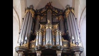 J S Bach Toccata adagio and fugue in C major BWV 564 Sietze de Vries Martinikerk Groningen [upl. by Nrobyalc573]