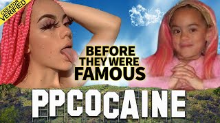 PPCocaine  Before They Were Famous  TikTok Rapper Biography [upl. by Esinrahc]