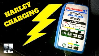 How to charge Harley Davidson battery [upl. by Jovitah]