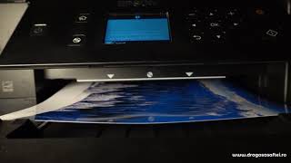 Epson L7160 Print test  A4 Glossy Photo Paper [upl. by Idalla]