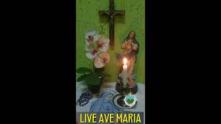 Transmissão ao vivo de Paróquia Nsa Sra da Conceição LIVE AVE MARIA [upl. by Nyrehtac966]