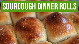 How to Make Sourdough Dinner Rolls  START TO FINISH [upl. by Leamsi263]