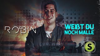 DJ Robin  Weißt du noch Malle Official Lyric Video [upl. by Ayitahs206]