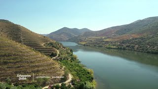 La vallée du Douro  Échappées belles Portugal [upl. by Beall]