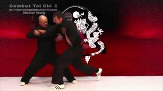 Tai Chi Combat  Applications Fight [upl. by Fabria]