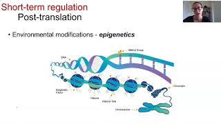 Gene regulation Part 2 of 2 [upl. by Engedus]