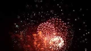 Fireworks with Sound Effects [upl. by Einnad]