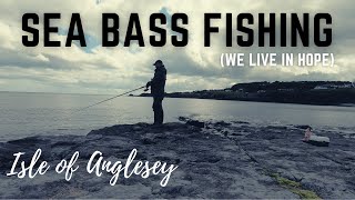 Sea Bass fishing on the Isle of Anglesey  3 Day Coastal Break [upl. by Eleirbag757]