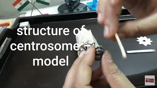 STRUCTURE OF CENTROSOME [upl. by Eric204]