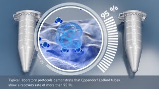 How it works  Eppendorf LoBind® [upl. by Llerej142]