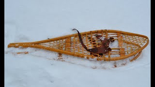 A few points about Snowshoes [upl. by Salisbury]