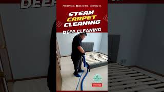 ✅ Steam Carpet Cleaning amp Sanitizing  Union NJ [upl. by Hoi]