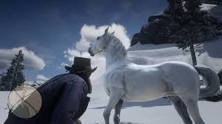 Red Dead Redemption 2 How To Get The White Arabian Horse Very Easy  Full Guide [upl. by Notyard]