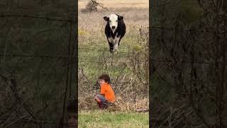 Sweet Moment Turns Hilarious My Sons Unexpected Words About a Calf [upl. by Hareehahs159]