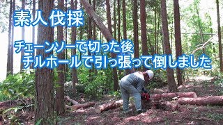 初めてのチルホール使用、松枯れ木の処理 [upl. by Naleek]