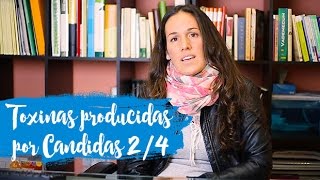 Candidiasis Sistémica Parte 2 Toxinas producidas por Candidas [upl. by Nnylannej]