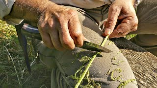 How To Make Natural Cordage From Bramble [upl. by Ralfston]