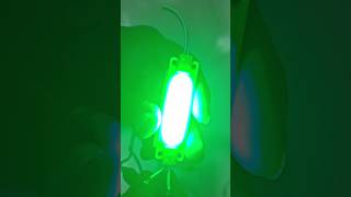 12V Multi Colors LED Lights  DClight multicolor shorts diy led [upl. by Catherina]