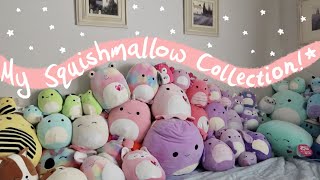 My Squishmallow Collection [upl. by Katerina]