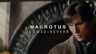 Batman Begins  Macrotus Slowed  Reverb [upl. by Eivol313]