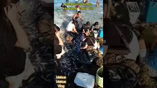 Dagsaan Ang Mga Isda Dito Sa Panagsama Beach MoalBoal Cebu City [upl. by Naveb]