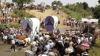 La Romería del Rocío camino a la Aldea Almonte Huelva [upl. by Ellednahs]