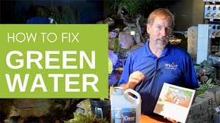 How to Get Rid of Green Pond Water [upl. by Sivar]