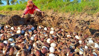 wow amazing a female fisherman Harvest duck eggs and catch snails a lot at field by best hand [upl. by Shaughnessy9]