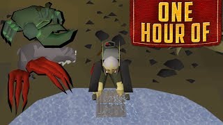 1 Hour of Dark Crab Fishing on OSRS [upl. by Berkman136]