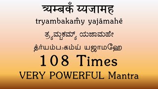 Tryambakam Yajamahe  108 times  Very Powerful Mantra  Yajur Veda  Sri K Suresh [upl. by Tallie345]