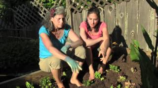 Healthy Eating Growing Your Own Food with Organic Gardening Part 1 of 2 [upl. by Fritzie]