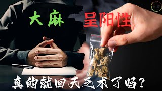 被检测出大麻呈阳性真的就回天乏术了吗？ [upl. by Enaerb141]