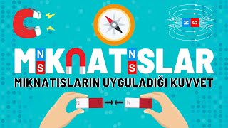 4 Sınıf Mıknatıslar Konu Anlatımı  Fen Bilimleri [upl. by Anisamoht]