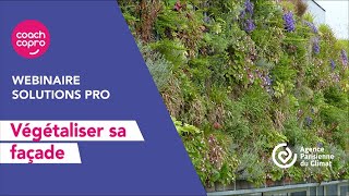 Solutions Pro  Comment végétaliser sa façade [upl. by Ainoek]