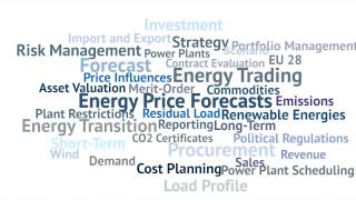 Power2Sim – Fundamentales Energiemarktmodell von Energy Brainpool [upl. by Helmer287]