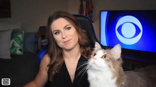 Cat interrupts CBS News Broadcast to Stare at a Fly [upl. by Yhtir]