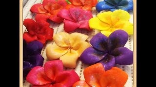 Diy How to Make Plumeria Frangipani Craft Foam Flower  Hair Bow Brooch RoomGift Decoration [upl. by Xever]