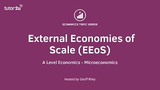 External Economies of Scale I A Level and IB Economics [upl. by Ekram]