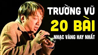 Trường Vũ Và 20 Bài Nhạc Vàng Chọn Lọc Hay Nhất Sự Nghiệp  Trường Vũ Nhạc Hải Ngoại Chọn Lọc [upl. by Meyeroff62]