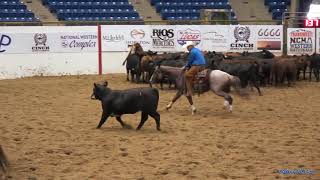 Metallic Wilson 2018 NCHA Western Nationals 5000 Novice Non Pro Finals [upl. by Mya]