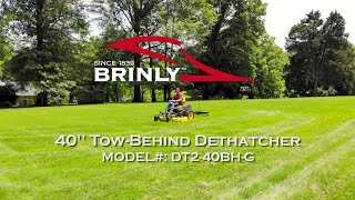 Brinly 40quot TowBehind Dethatcher Model DT240BHG [upl. by Annahpos]