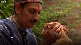 Indias gay prince opens his palace for LGBT community BBC News [upl. by Braca150]