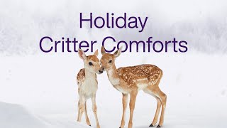 TELUS  Holiday Critter Comforts [upl. by Dann]