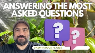 Carnivorous Plants Answering The Most Asked Questions Part 1 [upl. by Ailahk]